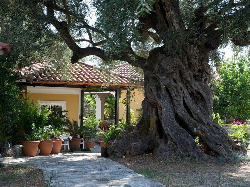 Villa Christina Zakynthos Town Exterior photo
